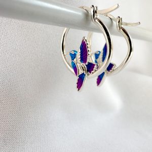 Aro de colibri