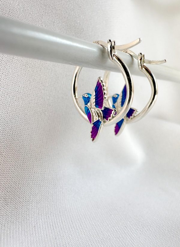 Aro de colibri