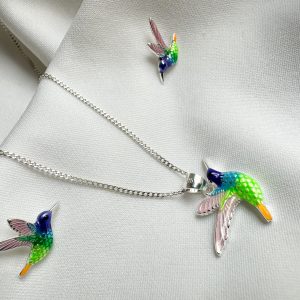 Set de Colibrí en colores