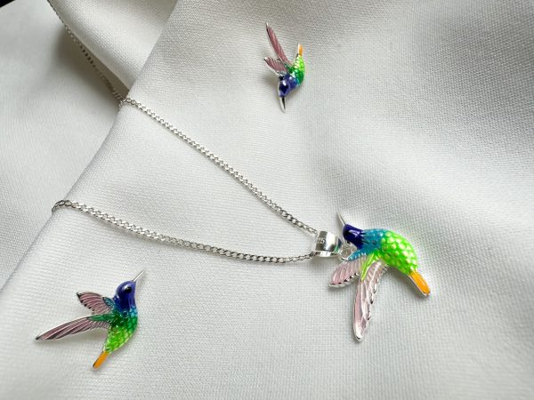 Set de Colibrí en colores