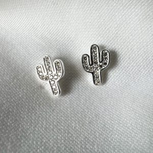 Mini Cactus con brillo