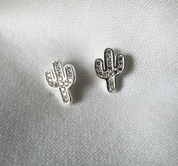 Mini Cactus con brillo